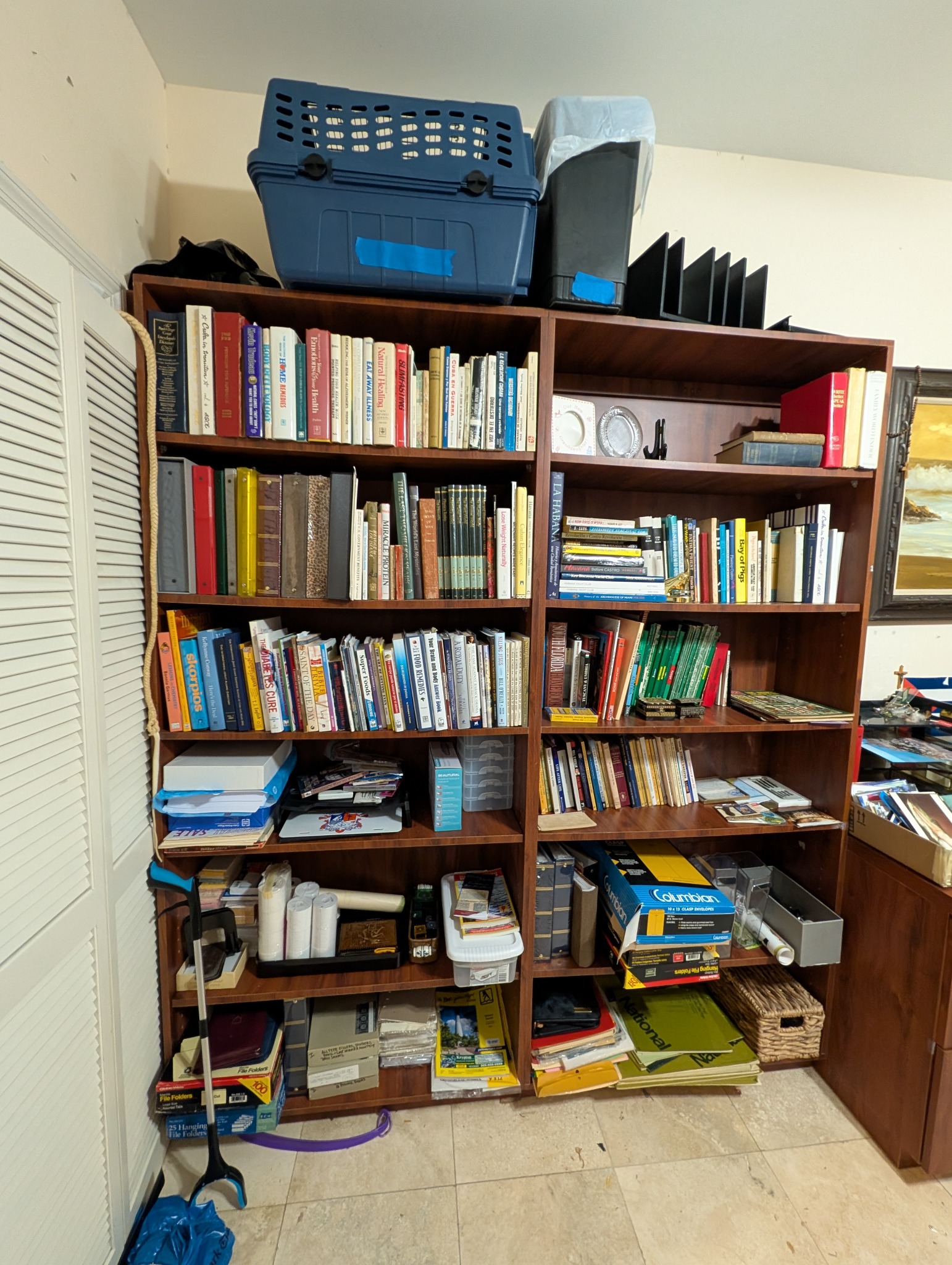 Bookshelves with books and everyday household supplies